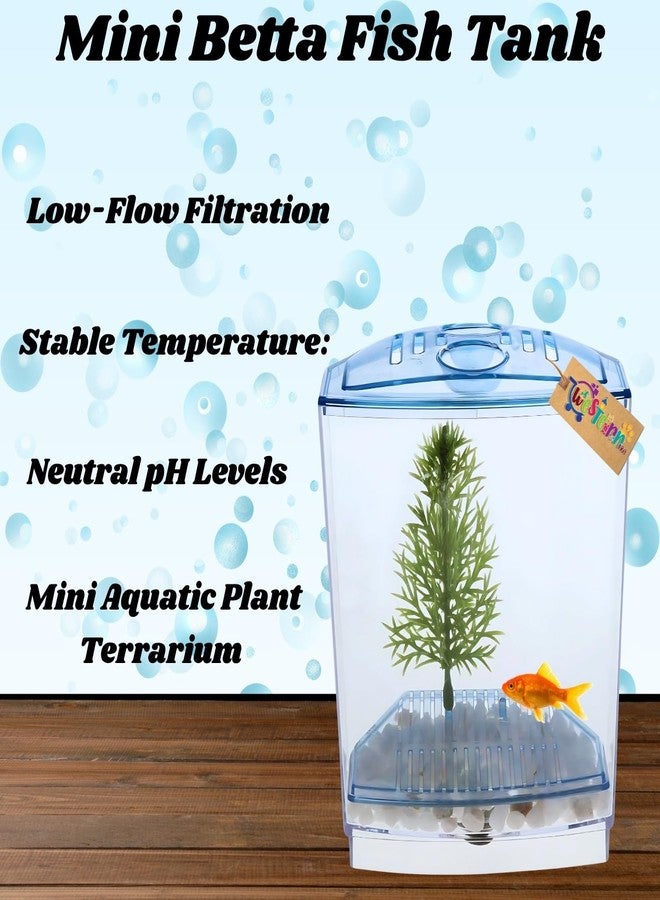 Western Era Betta Tank - Minimalist Aquatic Home for Betta Companions, Perfect for Peaceful Observation, Easy Upkeep, & Serene Interior Styling with a Compact Safe Living Space for Small Aquarium Fish - Image 5